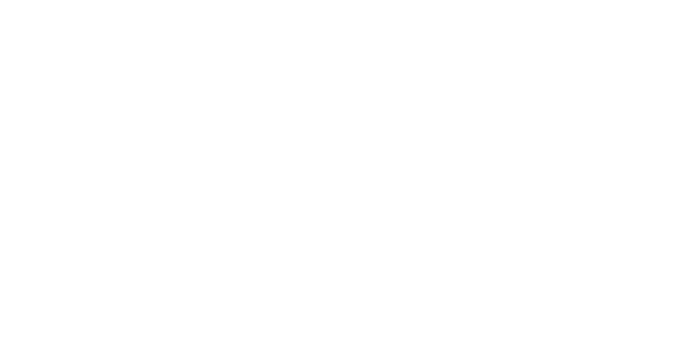 Des Moines Florist Flower Delivery By Adina Blooms Dsm