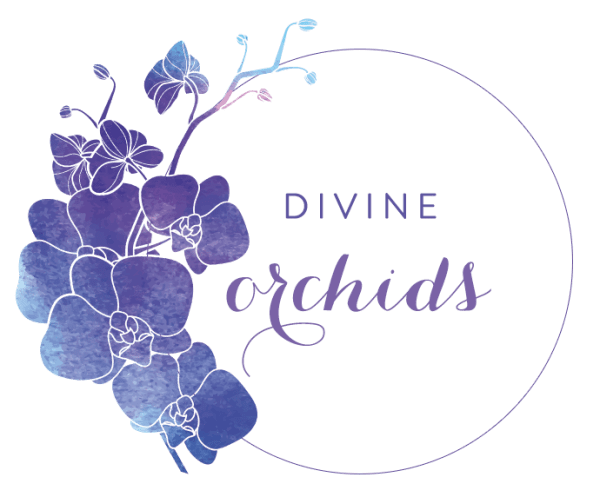 Divine Orchids Logo