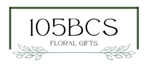 105bcs LLC Logo