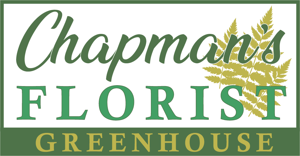 Flowers Delivery Beverly Chapman's Florist and Greenhouse