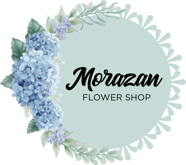 Tienda y Floreria Morazan Logo