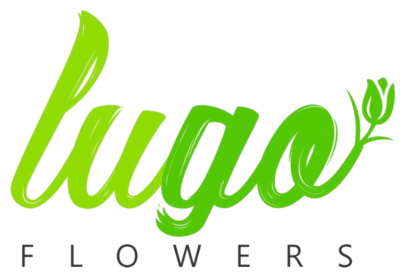 Silver Spring Florist Flower Delivery By Lugo Flowers