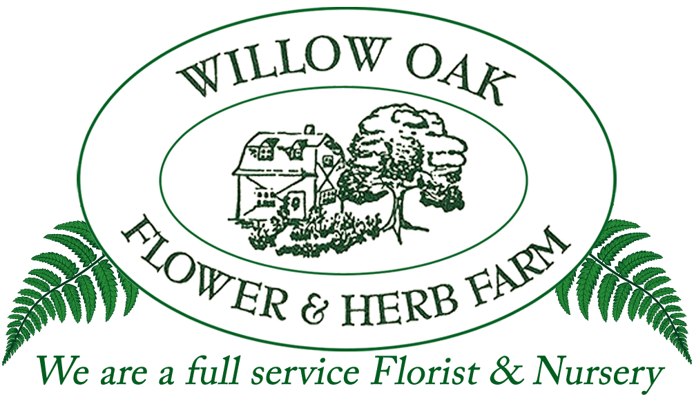 Severn Florist Flower Delivery By Willow Oak Flower Herb Farm