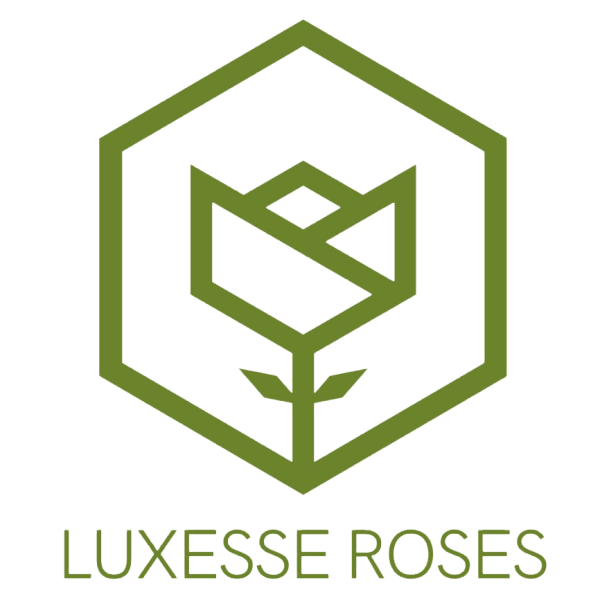 Luxesse Roses Logo