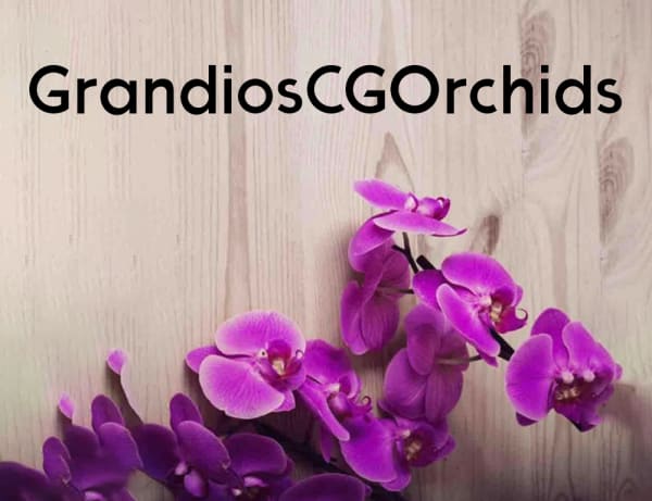 GrandiosCGOrchids Logo
