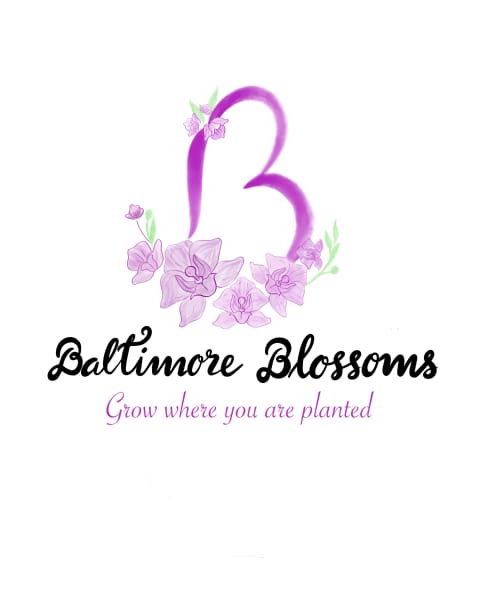 Baltimore Blossoms Studio Logo