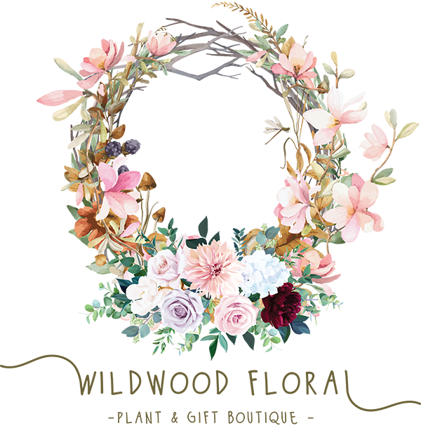 Dillons floral store
