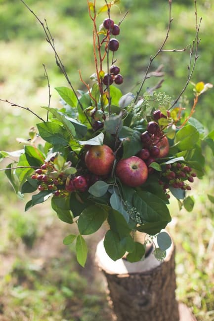 Our Photo Gallery | Parkview Gardens Florist & Greenhouses