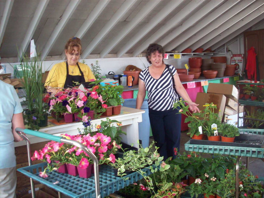 Our Photo Gallery | Parkview Gardens Florist & Greenhouses