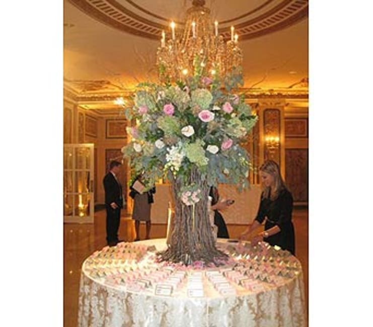 Our Photo Gallery | Flowers by Bernard