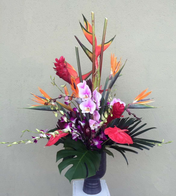 Our Photo Gallery Valley Florist