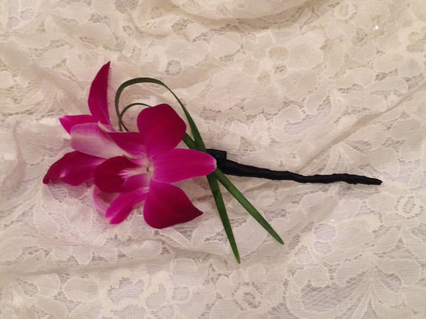 Our Photo Gallery Ribbons and Roses