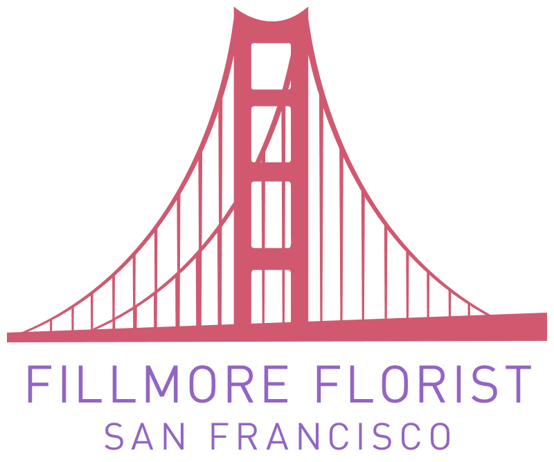 Plants Delivery San Francisco Fillmore Florist San Francisco