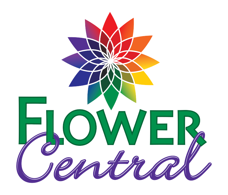 Minot Florist Flower Delivery by Flower Central
