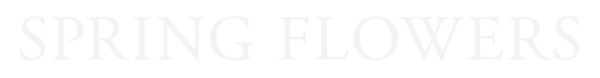 Spring Flowers Logo