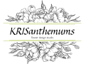 KRISanthemums Logo
