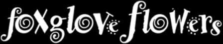 Alexandria Florist Flower Delivery By Foxglove Flowers