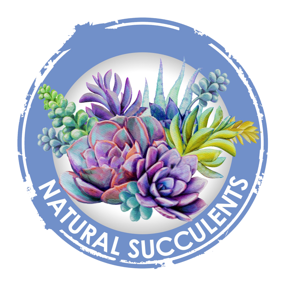 Granada Hills Florist Flower Delivery By Natural Succulents