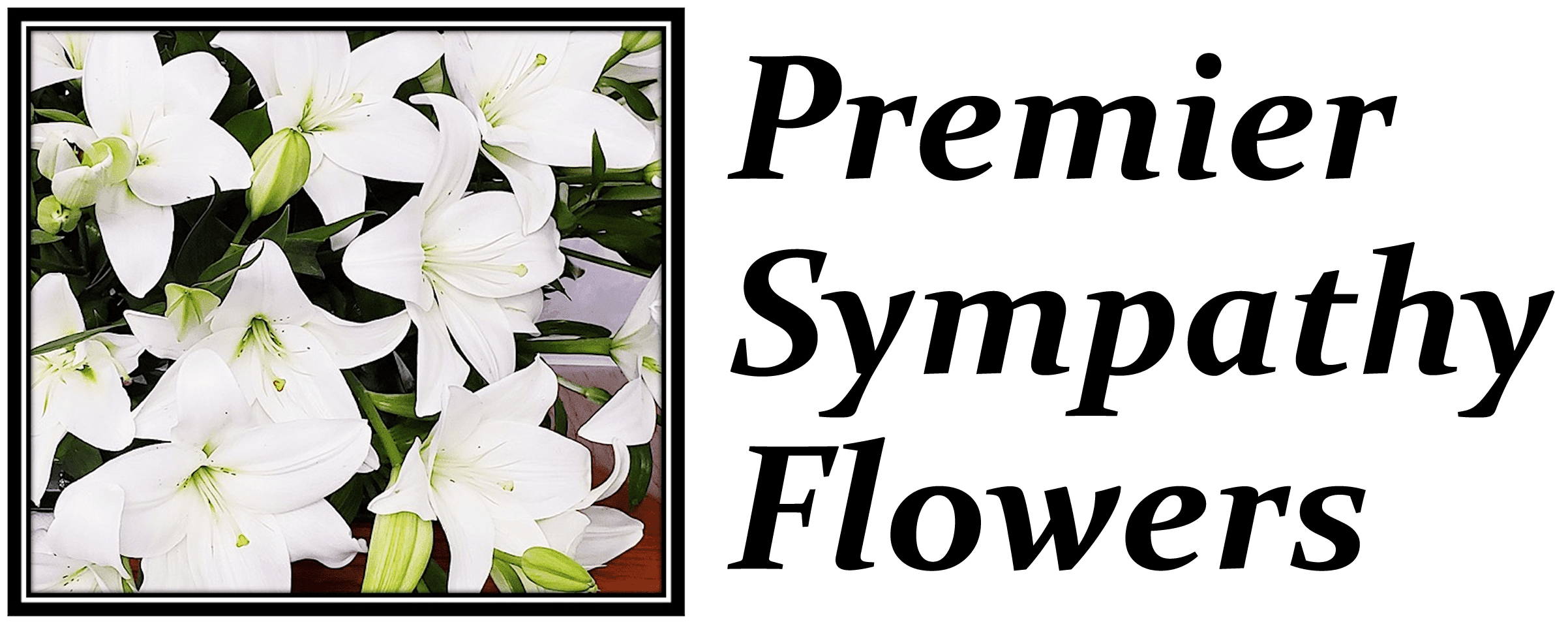 Spathiphyllum / Peace Lily in Louisville, KY Premier Sympathy Flowers LOUSW