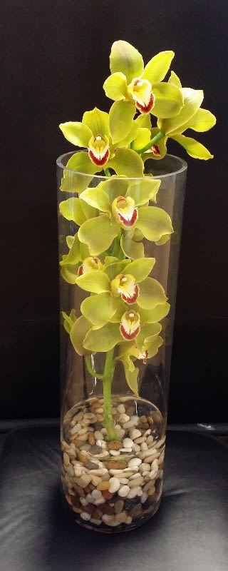 Cymbidium Flower Arrangement By Ideal Orchids