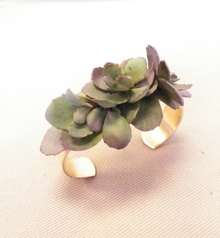 Designer Wrist Corsage Succulents By Bloom With Jenna