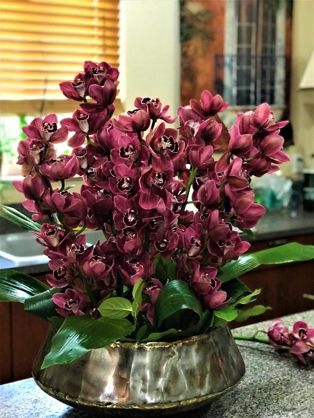 Cymbidium Orchid Extraviganza By De La Flor Florist Gardens