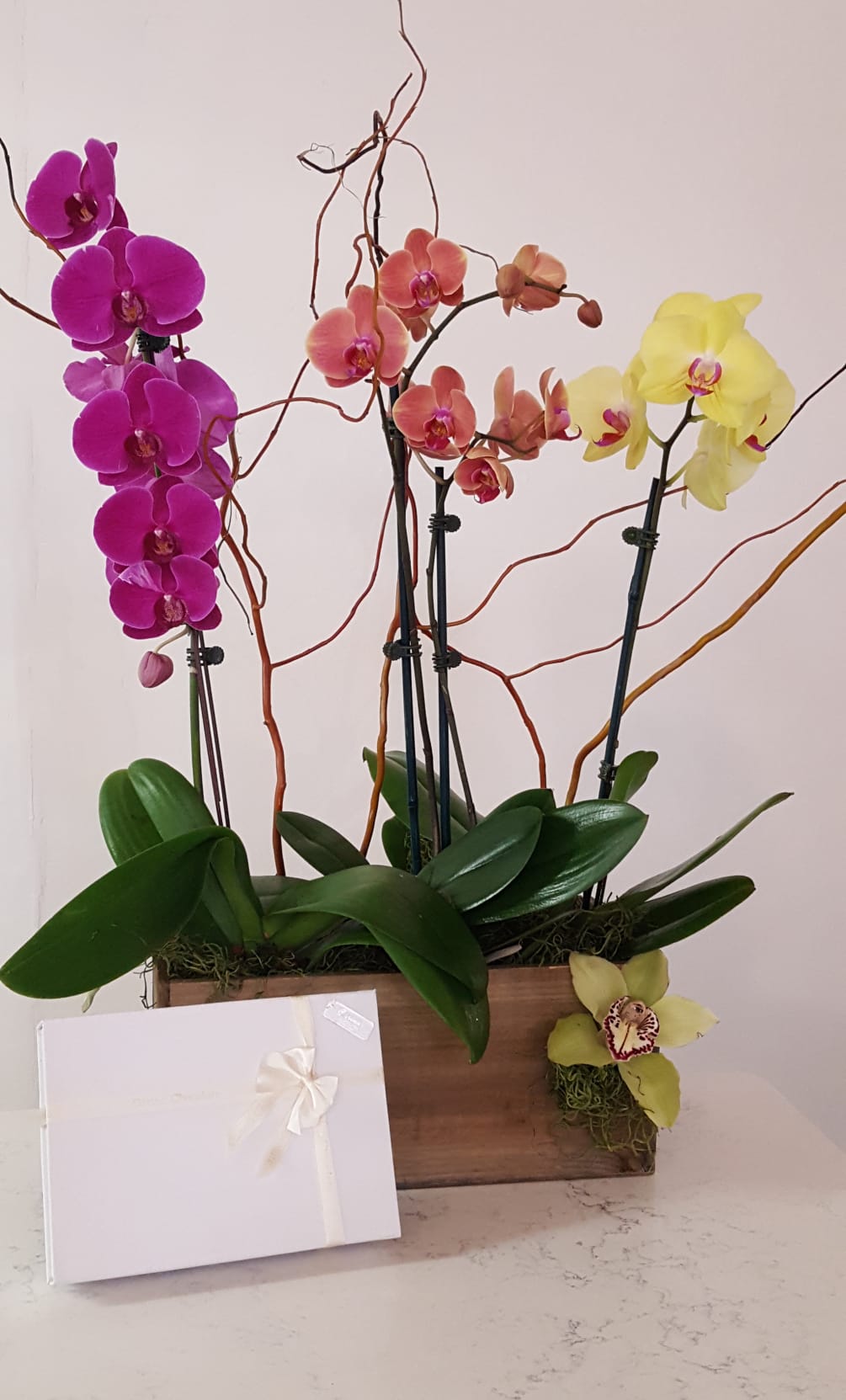 Orchid Passion Gift Set By Carina Floral