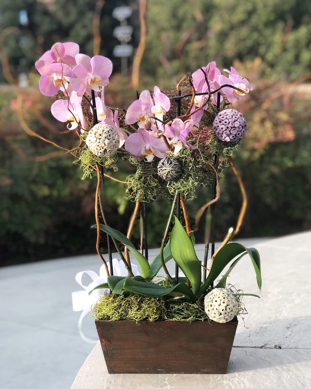 Passion Feminine Pink Orchids By Westwood Flower Shop