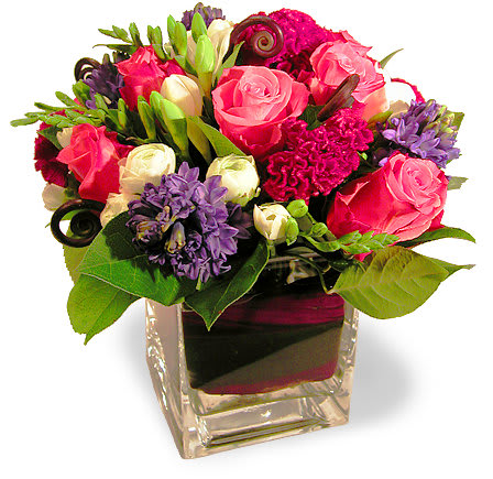 A beautiful flower arrangement of pink Colombian roses, blue hyacinths, white ranunculus