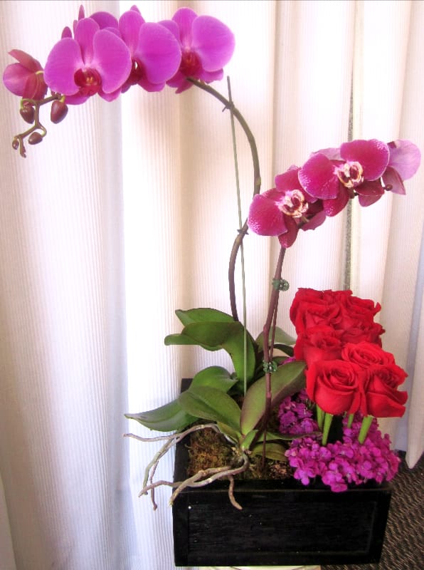 purple orchids garnished with vibrant red roses