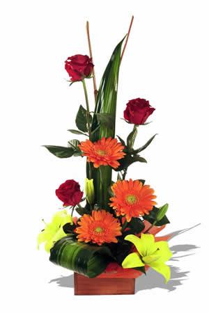 Red roses, orange geberas, Yellow Tiger lilys with styled greens 