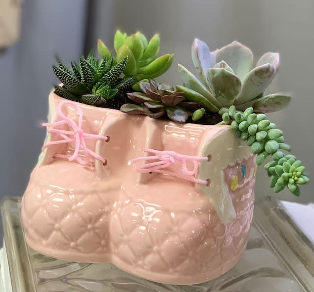 Send a super cute baby succulent garden when they welcome a new