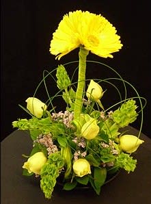 This delightful arrangement will convey friendship and fun. Playful Gerbera Daises and
