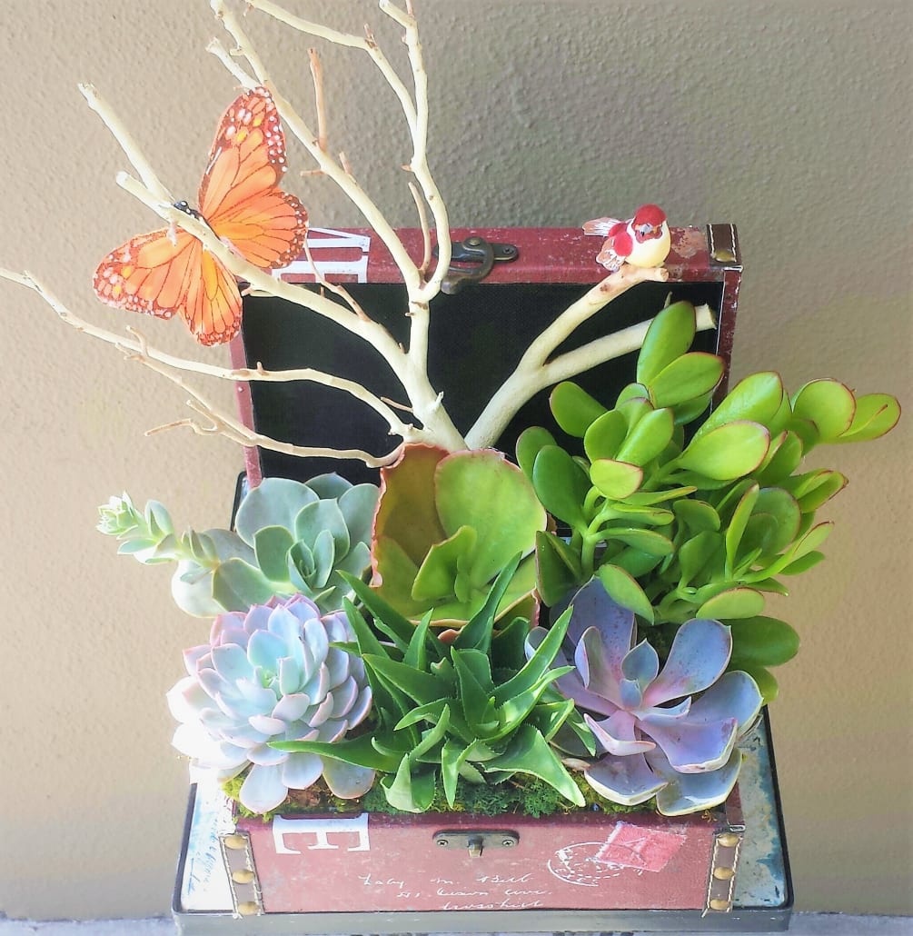 Succulent planter in a treasure chest box with branches and butterfly.