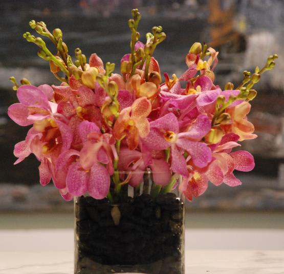 5&quot; Cube glass vase featuring Mokara Orchids tightly packed.