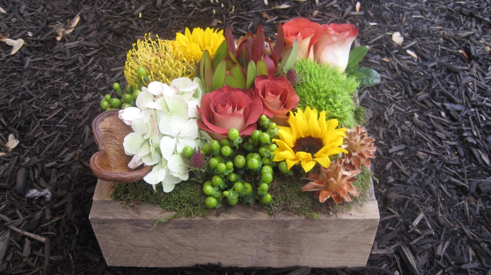10&quot;x12&quot; by 3&quot; deep reclaimed wooden box. Filled with roses,sunflower, hydrangea, hypericium