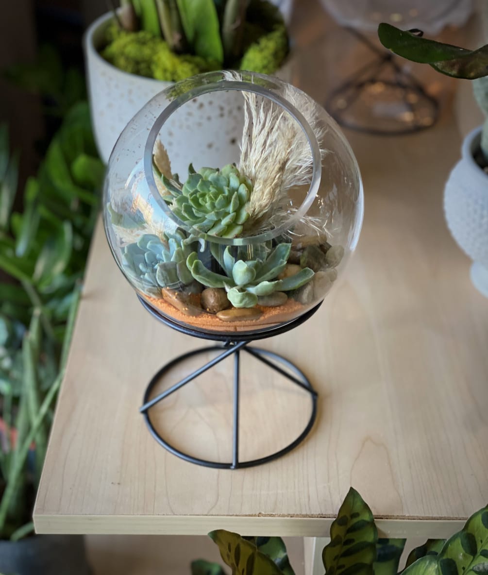 Tabletop Terrarium by A Garden Floral