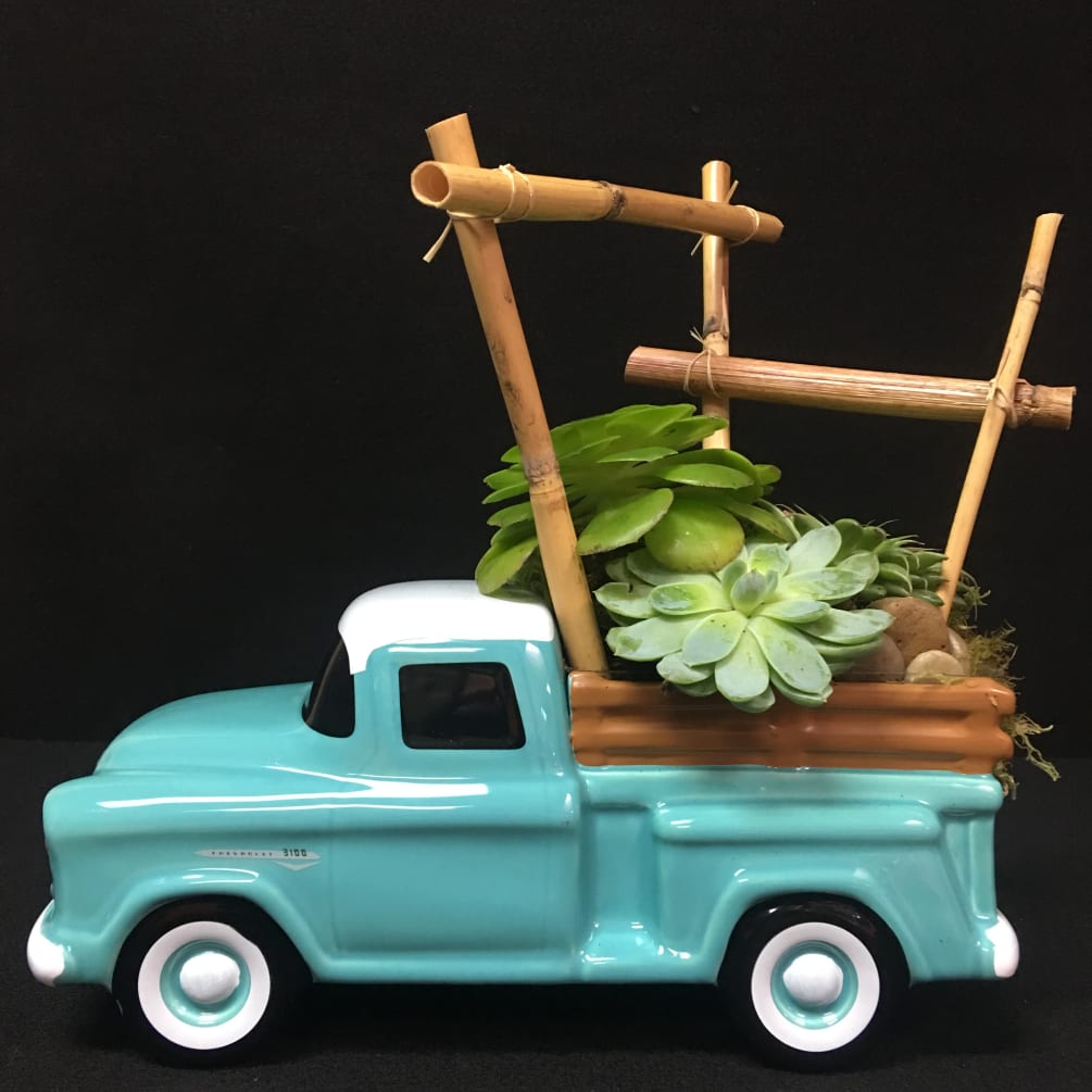 Beautiful and assorted succulents arranged in a light blue ceramic Chevy Truck.