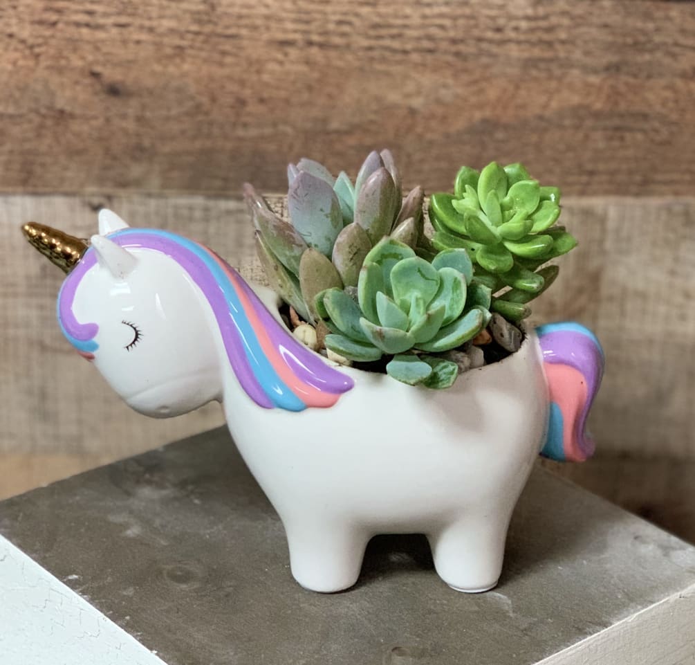 A succulent garden in a magical unicorn vase. 
Succulents will vary depending