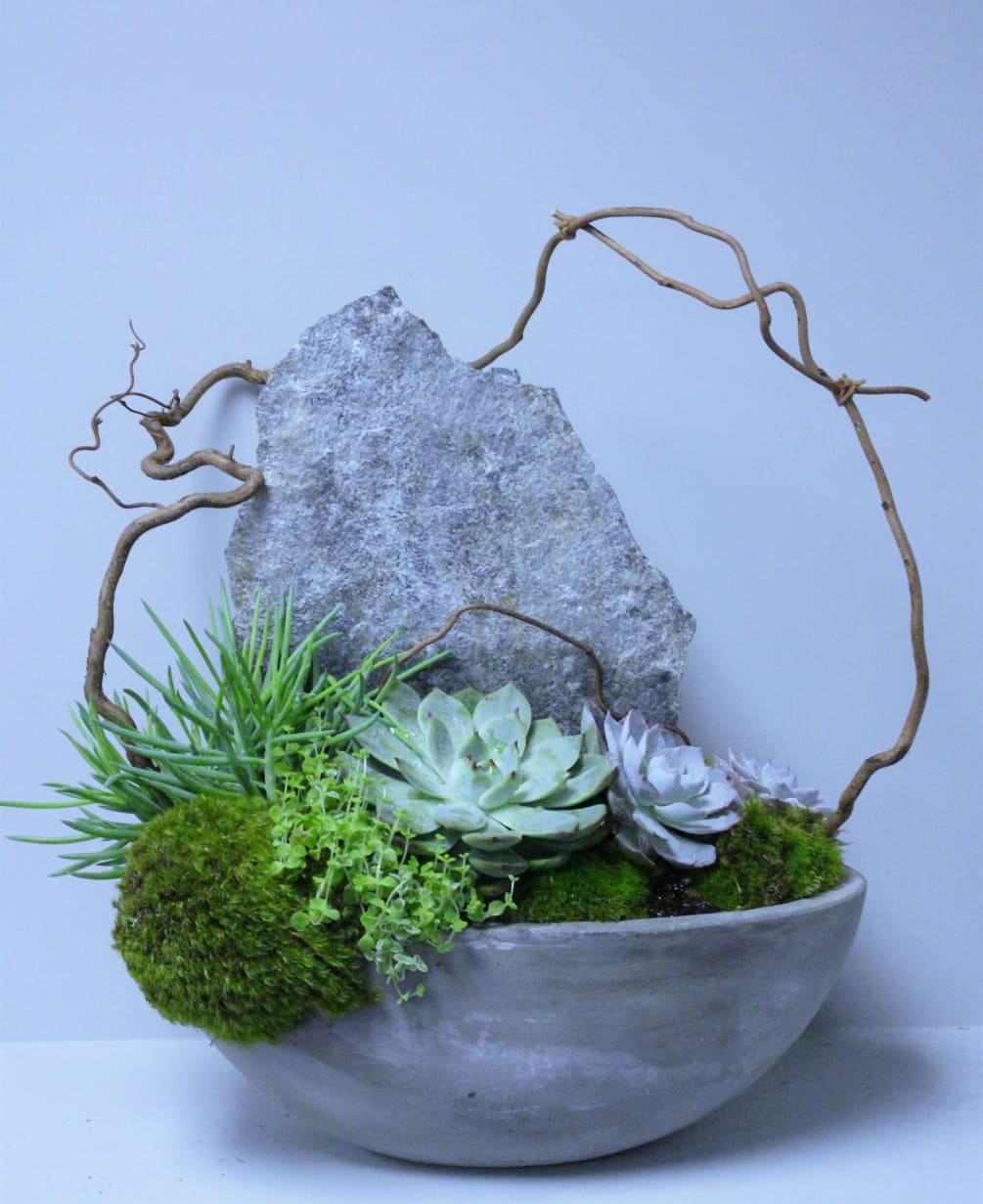 Green Succulents and Sliced Designers Stone with Curly Willow in a Grey