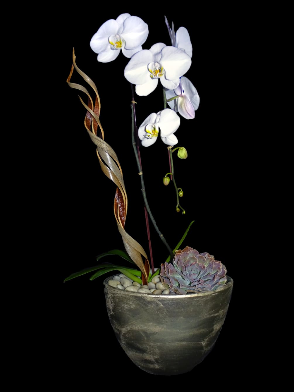 Indonesian Dream By Sada S Flowers
