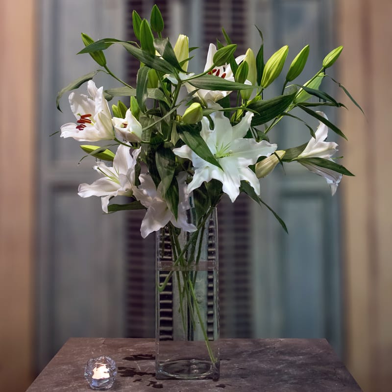 White lilies in glass. 