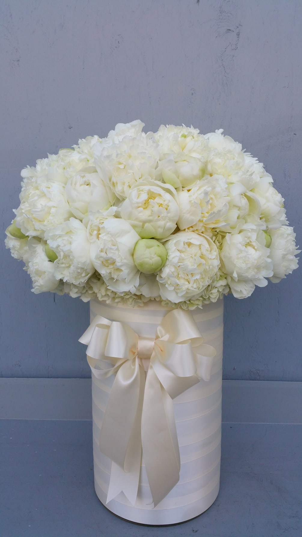 55 white peonies with white hydrangeas in wide cylinder vase wrapped in
