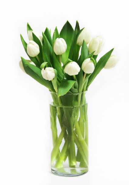 tulips in vase shown in white color
available in other colors too