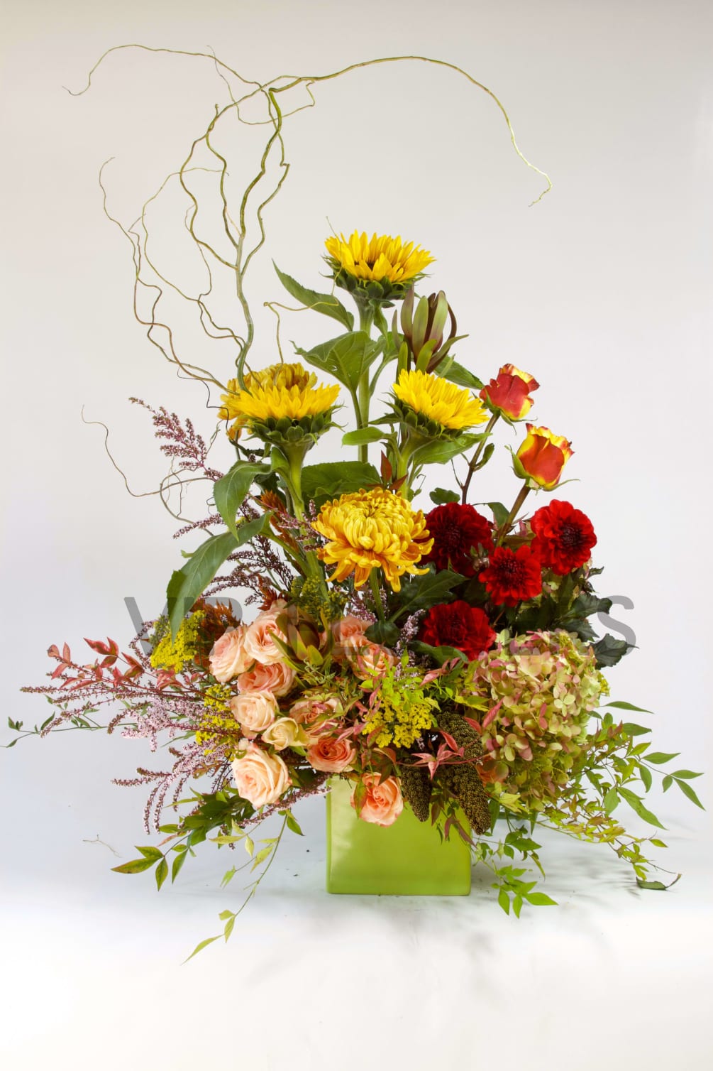 Wild has never fit a floral arrangement more precisely! This combination of