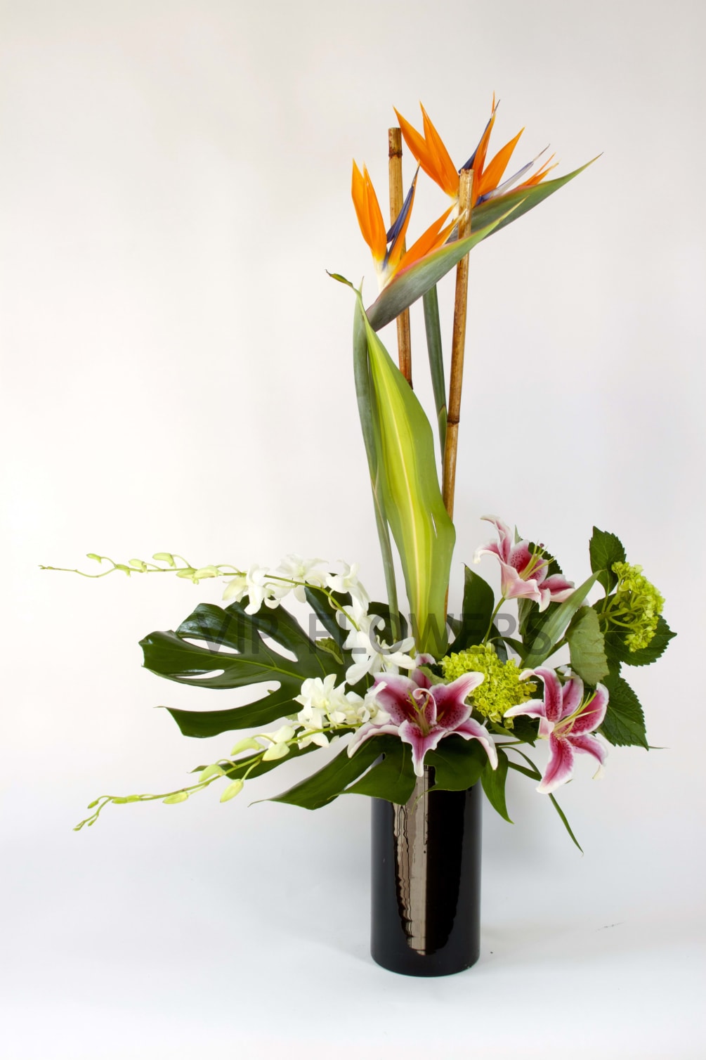 Flowers Included:

Birds of Paradise
Orchids
Lilies
Hydrangeas
Seasonal Greens
 

 

Substitutions may be necessary to ensure