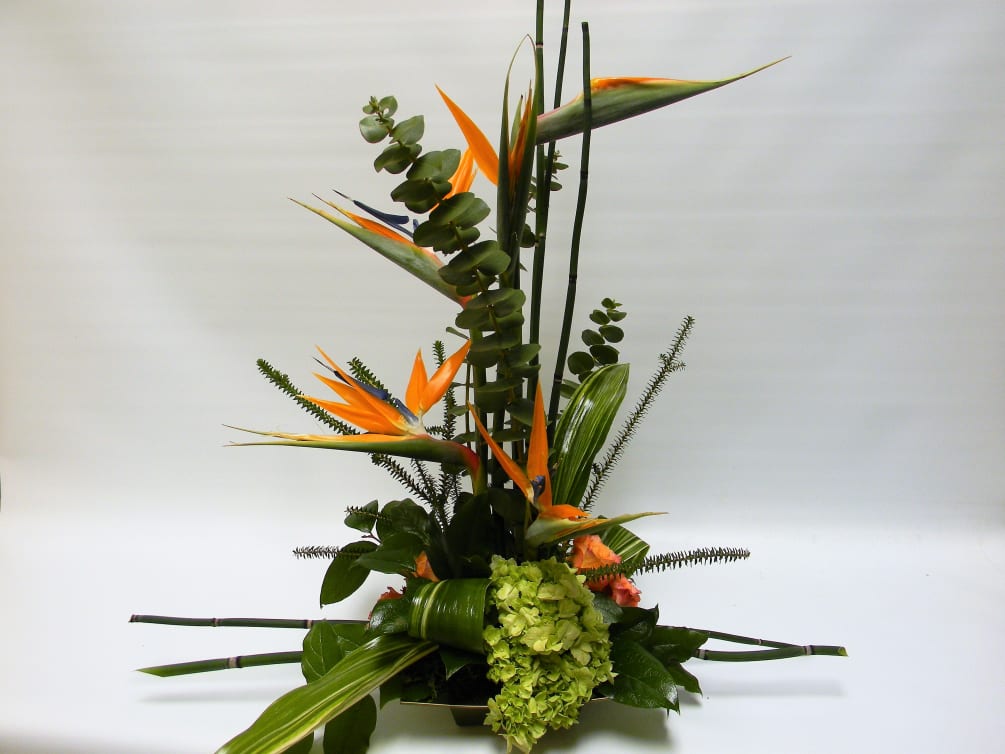 Line arrangement of bird of paradise, aquasedum, eucalyptus and aspadistra leaves