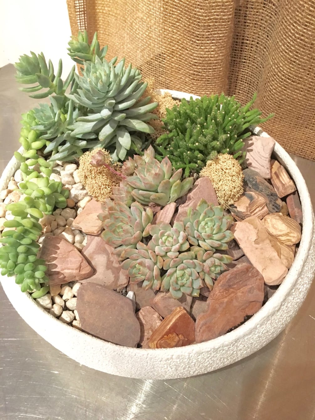 

This beautiful assortment of succulents is sure to please your recipient for
