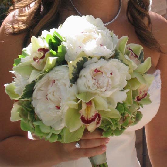 bridle bouquet made with peonies , green orchid, green hydrangea &amp;