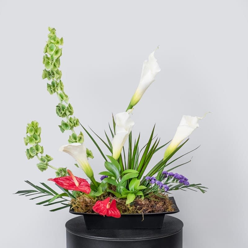 Deliver a burst of paradise with this fun, yet exquisite arrangement. Using
